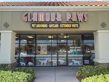 glamour paws mobile grooming